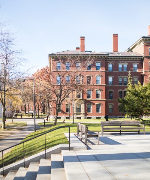 harvard-university-campus.jpg